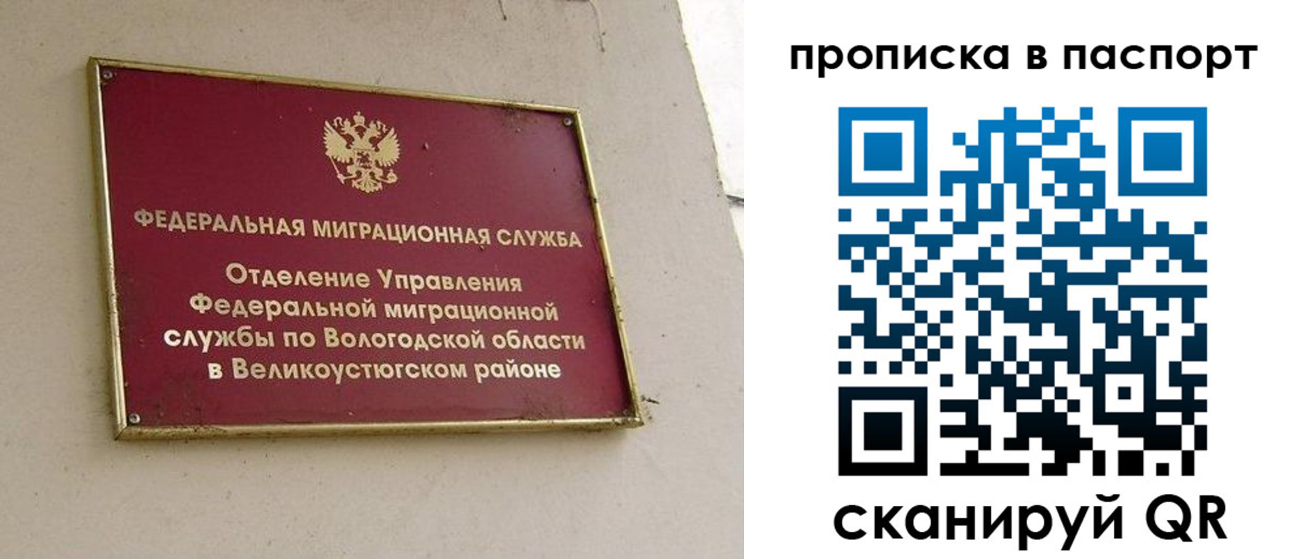 где прописаться в Борзе